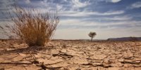 climate-change-nigeria.jpg.optimal.jpg